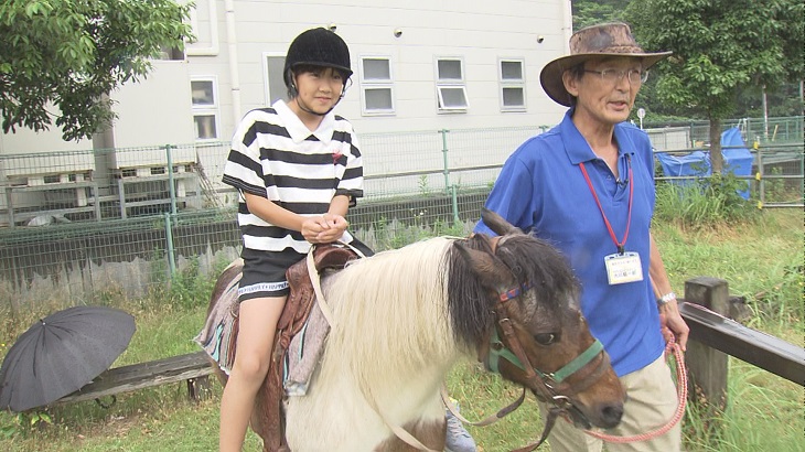 PONY Teacher