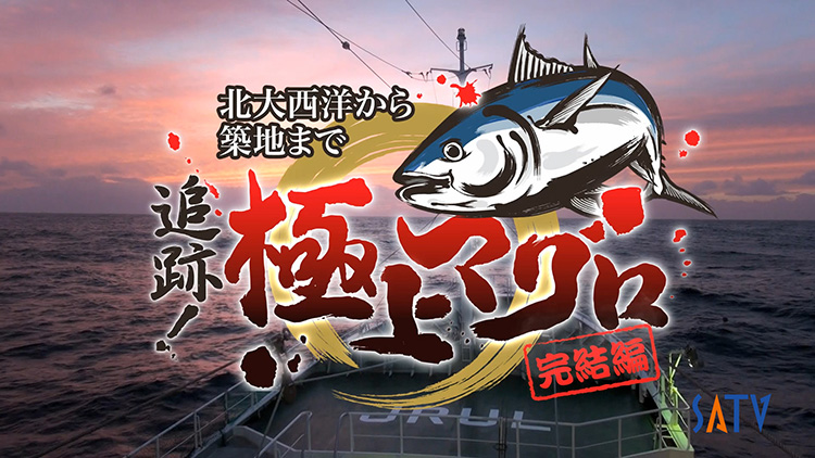 Pursue The Finest Tuna!,追跡！極上マグロ完結編,SATV