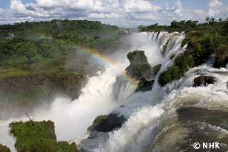Safe Haven: Iguazu Falls｜NHK/NHK Enterprises