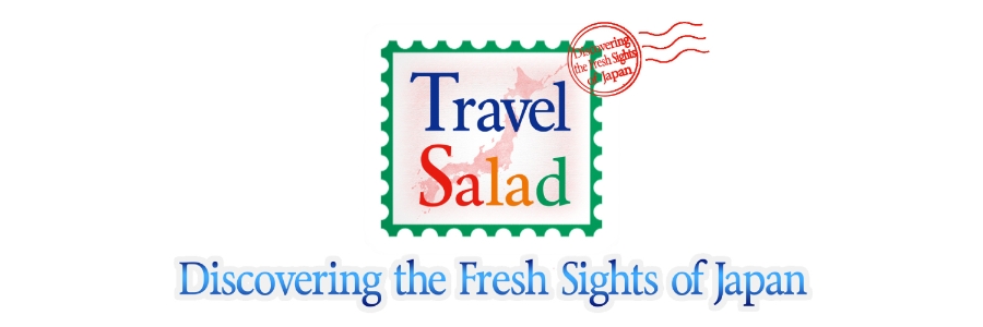 travel salad see the world